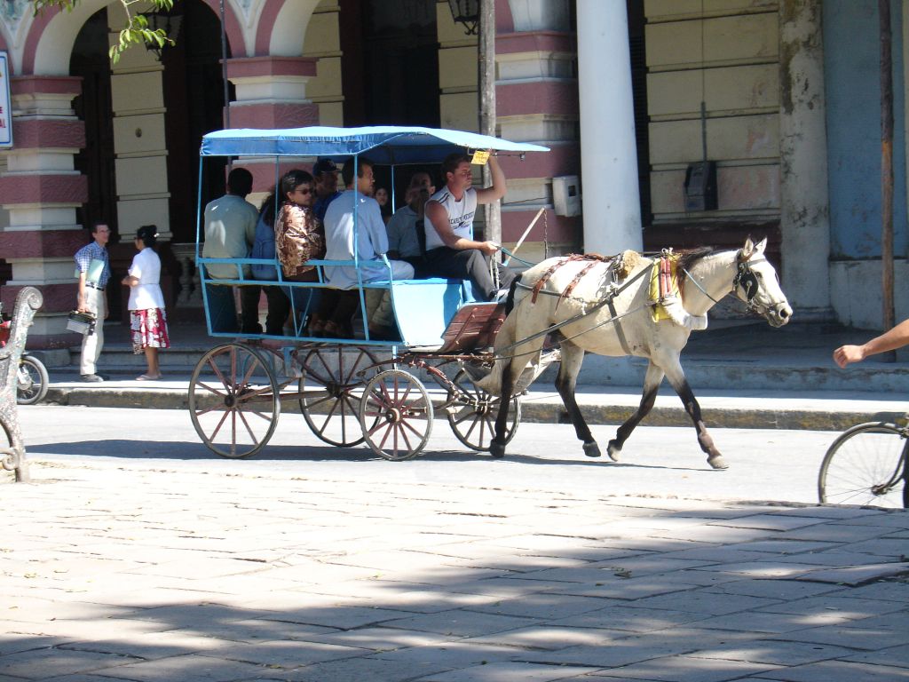 Das Standardtaxi für Kubaner ist eine Kutsche.