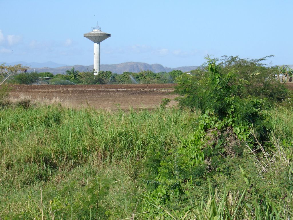 Felder werden künstlich bewässert.