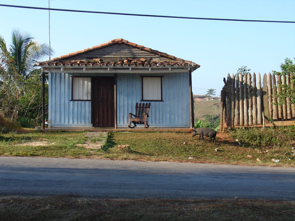 Eine Hütte an der Straße mit Schaukelstuhl und einem Schwein.