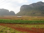 Viñales