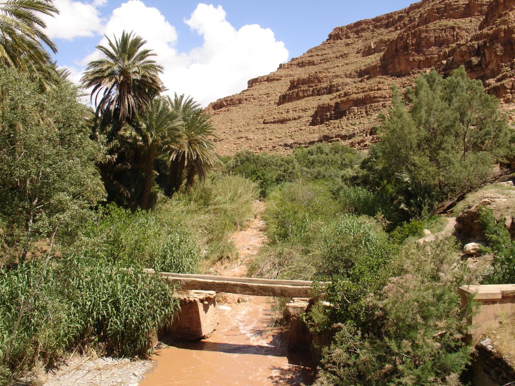 Ein NebenFluss des Ziz bietet Feuchtigkeit und damit vielen Pflanzen die Möglichkeit zu wachsen.