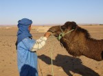 Hassan mit Dromedar