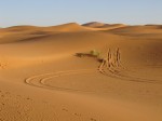 Autospuren im Sand