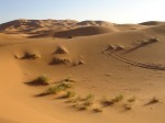 Sandwüste mit Autospur