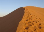 Große Düne im Morgenlicht
