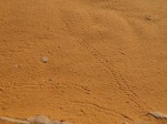 Spuren im Sand