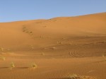 Sandwüste