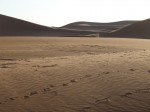 Sandwüste