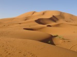 Sandwüste