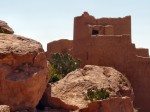 Kakteen vor Kasbah