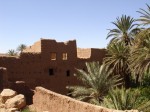 Palmen vor Kasbah