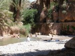 Badende im Fluss