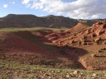 Graslandschaft