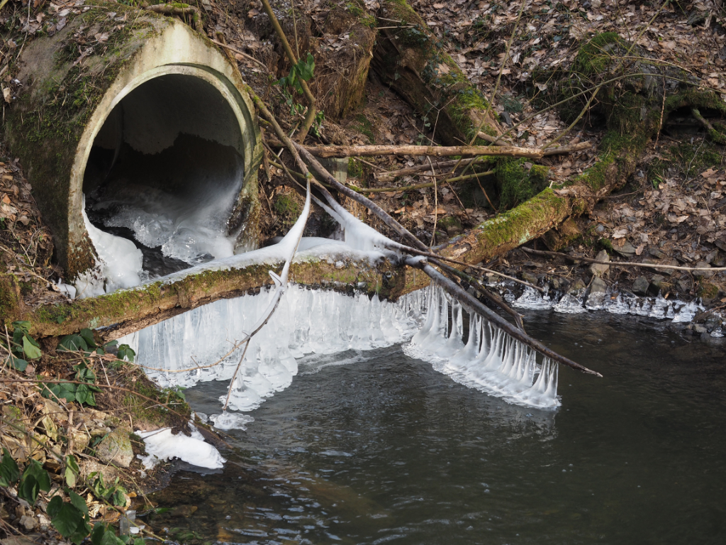 Weiter oben hatten sich an einem Durchfluss des Kasbachs unter der Straße auch interessante Eisfiguren gebildet.